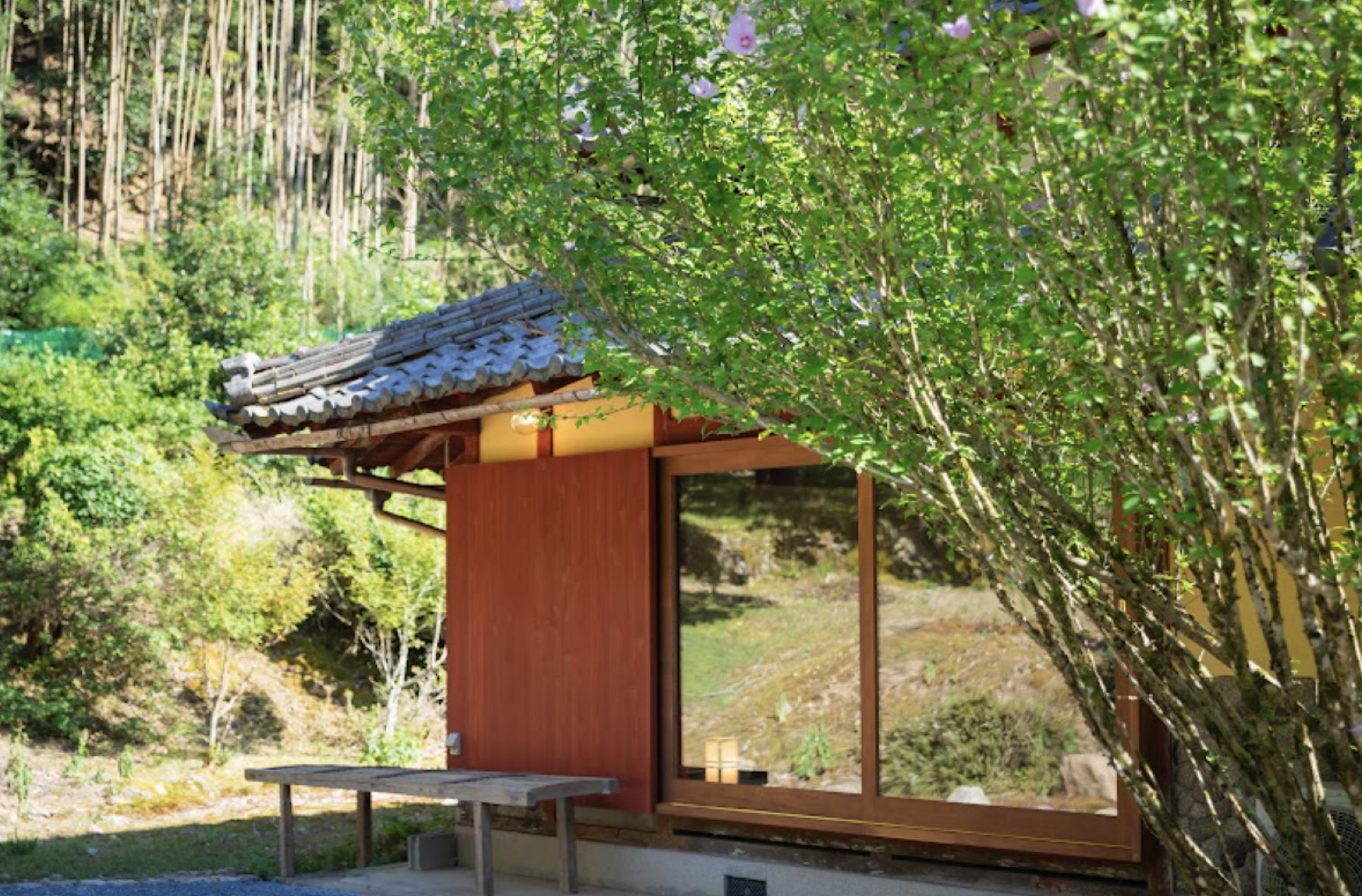 焼杉の板壁の蔵と、そばに迫る竹林