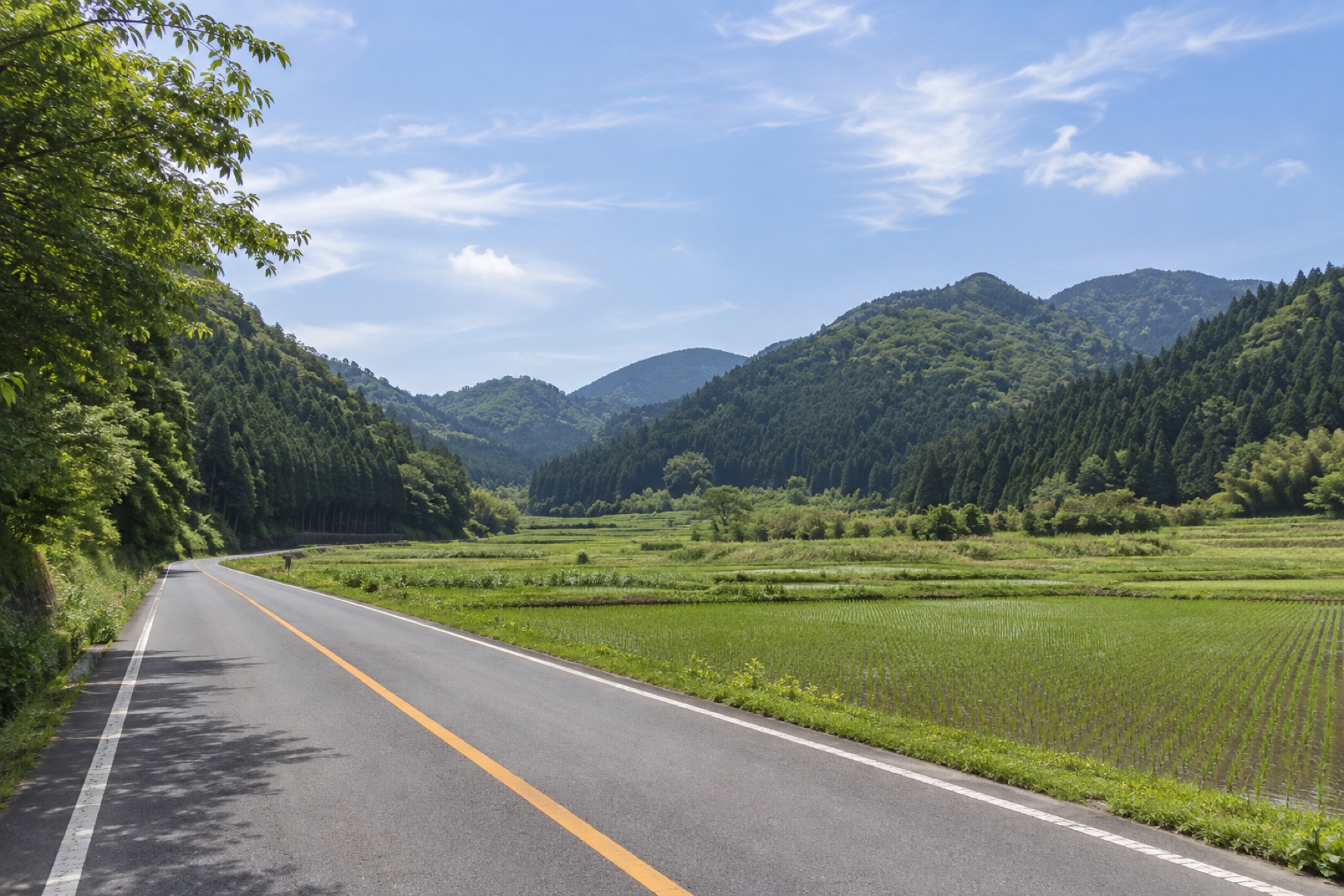 森を抜けて視界がひらけた道。右手に田んぼ、奥に重なる低い山並み